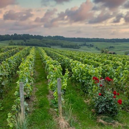 Maison De Champagne F.Barbier ! Avize Екстериор снимка