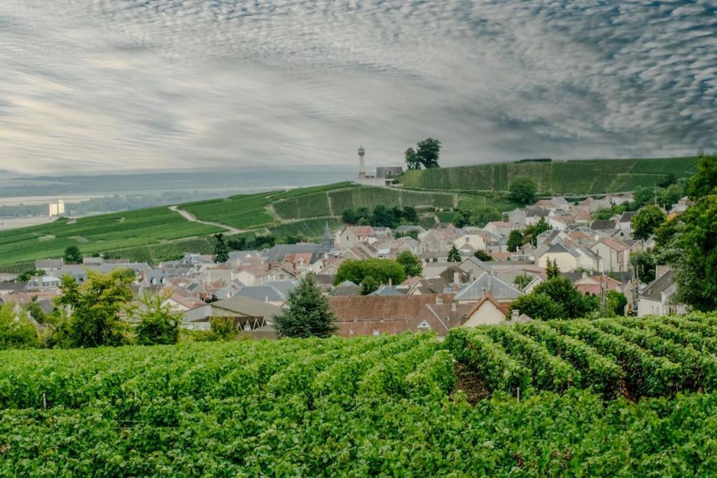 Maison De Champagne F.Barbier ! Avize Екстериор снимка